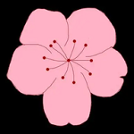 抖抈直播APP应用